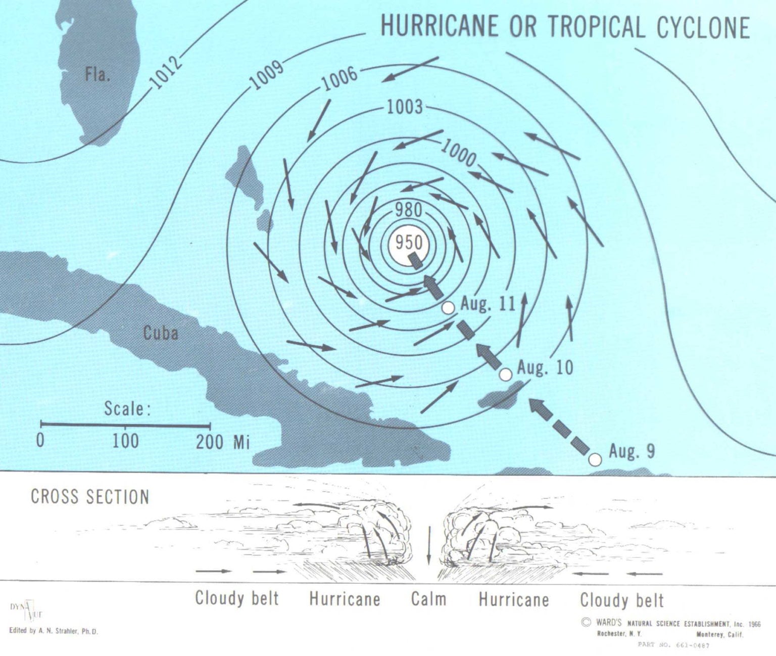 Тайфун схема. Тропический циклон схема. Строение тропического циклона. Схема образования циклона. Структура тропического циклона.