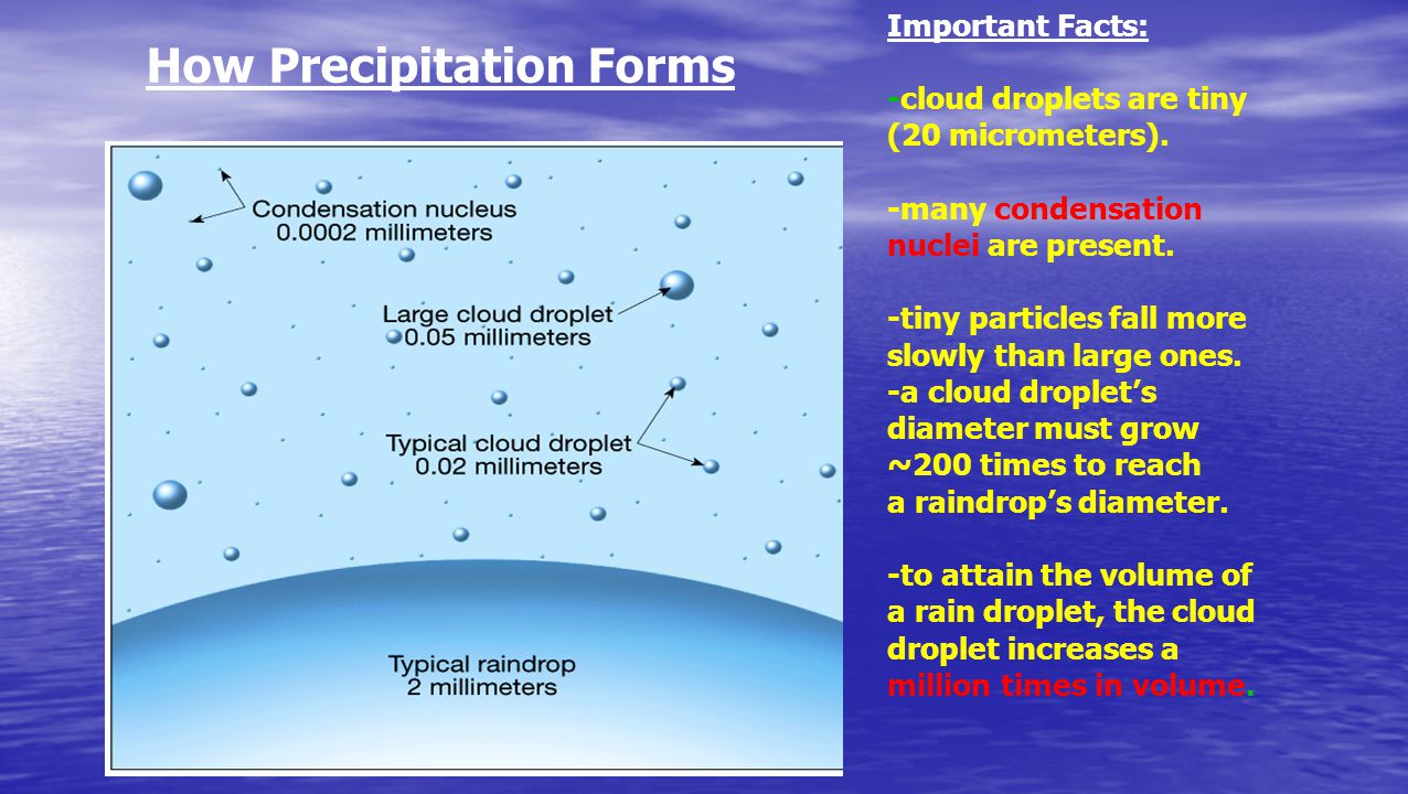 What Are The 4 Forms Of Precipitation