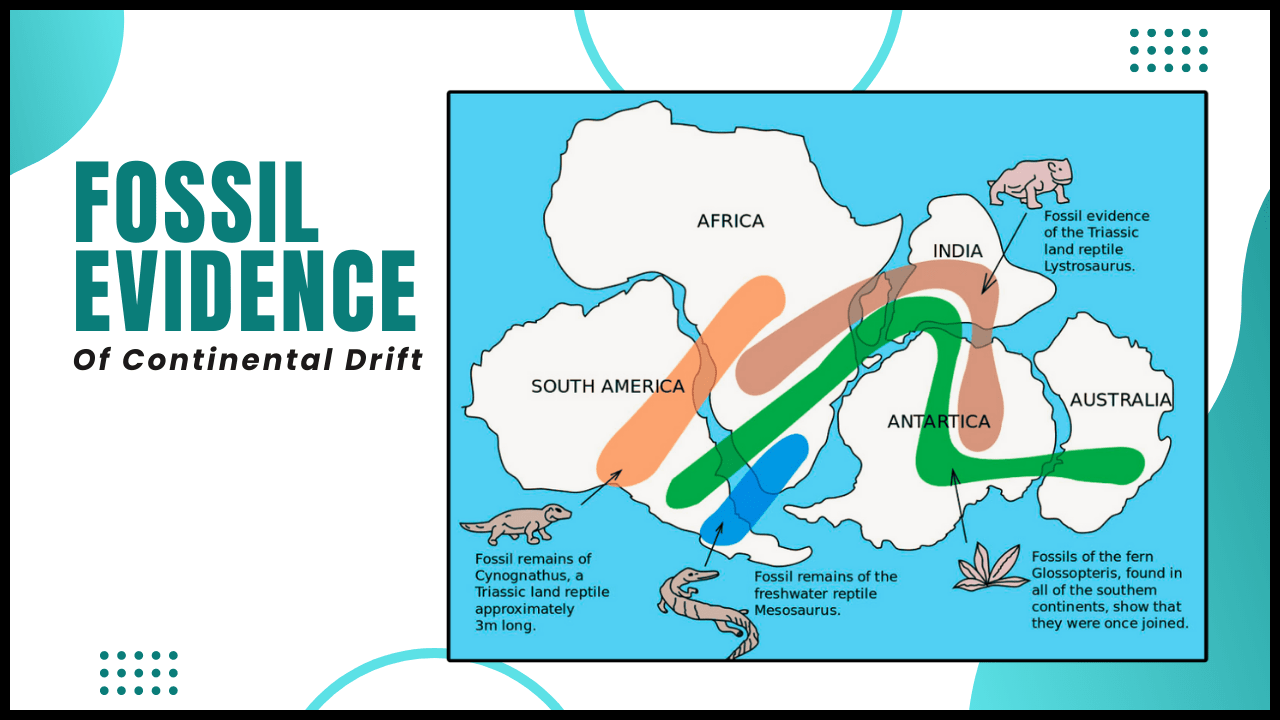 7 Criticisms of Continental drift theory by Alfred Wegener