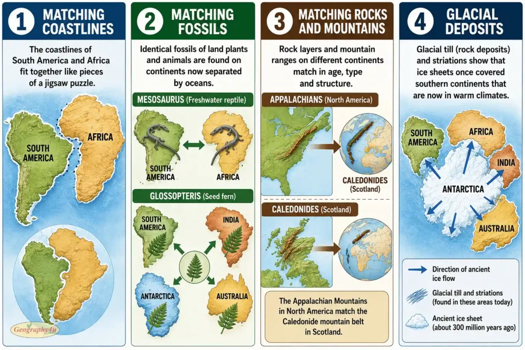 The evidence of continental drift