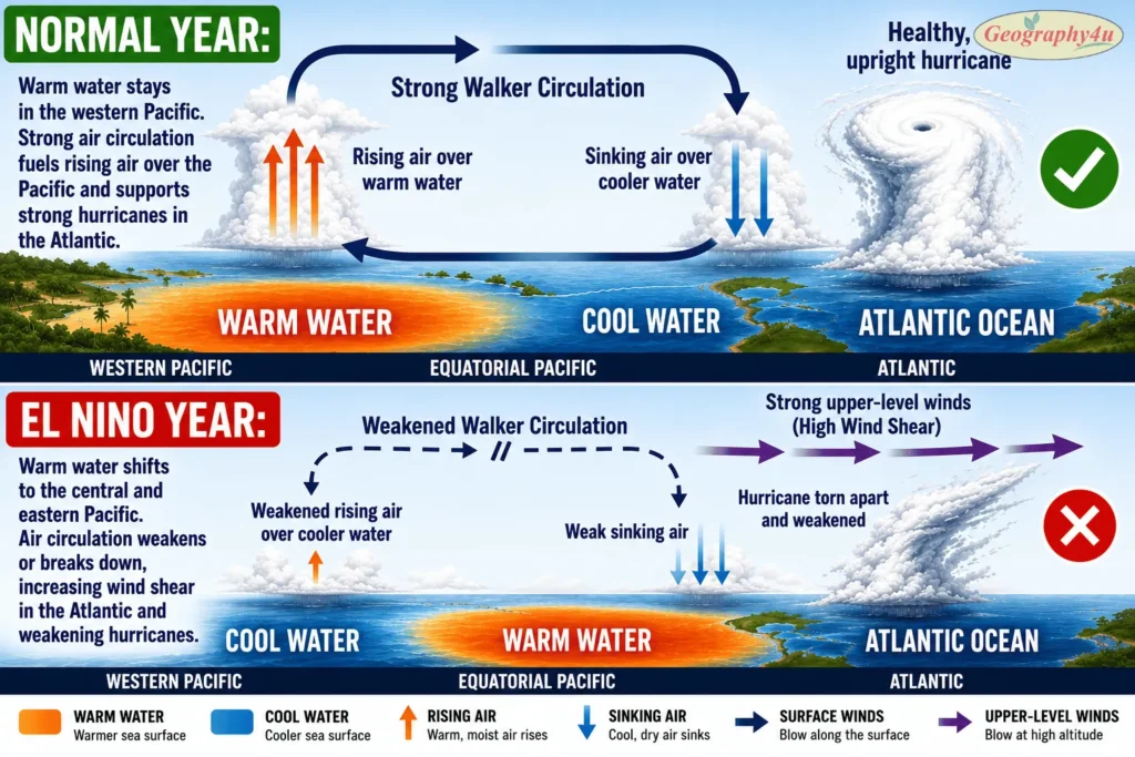 Diagram showing how El Nino creates wind shear that suppresses Atlantic hurricane formation
