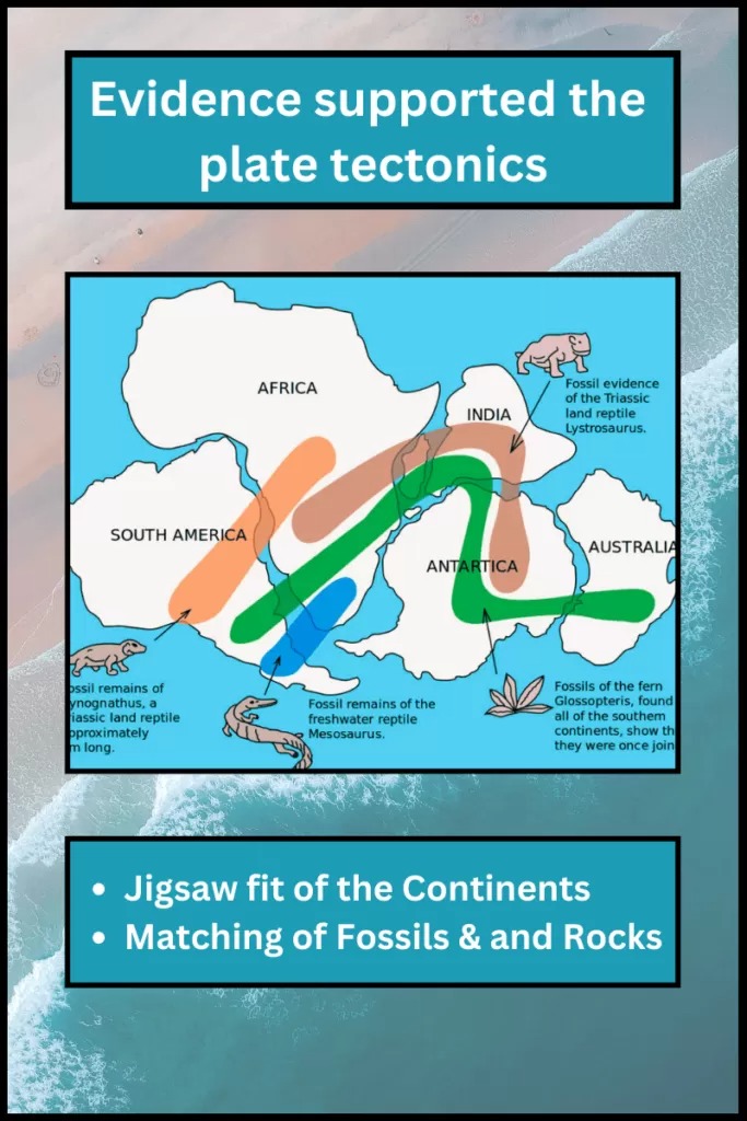 plate tectonics