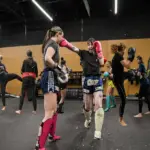 Beginner