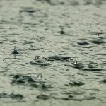 rainfall