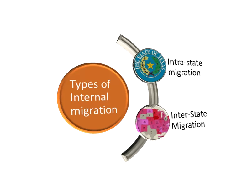 types of migration