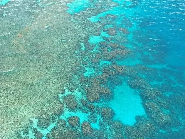 Great barrier reef Australia