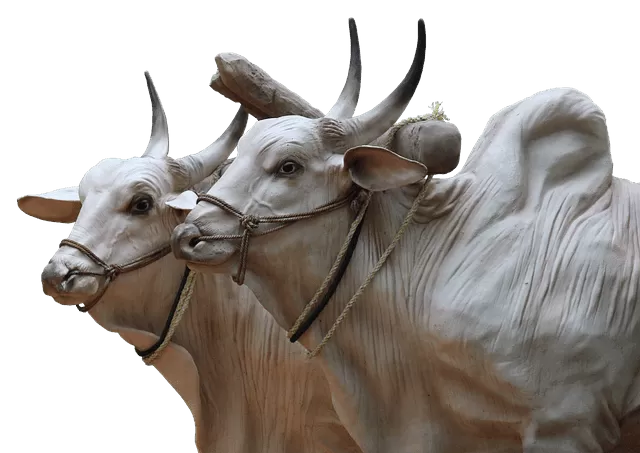 state animal of bihar-ox